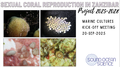 Larval Propagation in Zanzibar