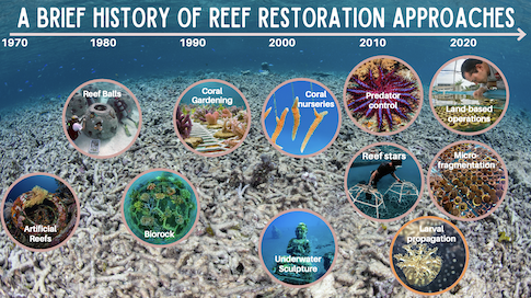Larval Propagation in Zanzibar