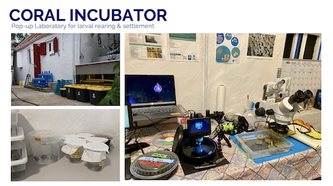 Larval Propagation Labratory