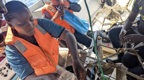 Frau aus der Community