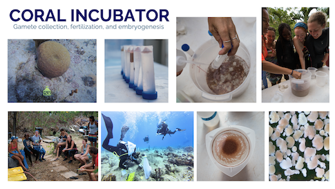 Larval Propagation Labratory