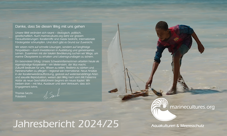 Jahresbericht 2024/25