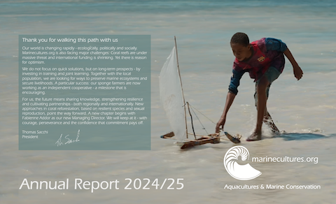 Annual Repport 2024/2025 Annual Repport 2024/2025