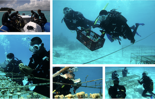 OWB in action OWB in action