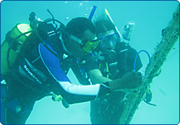 Okala & Nacho sammeln Daten