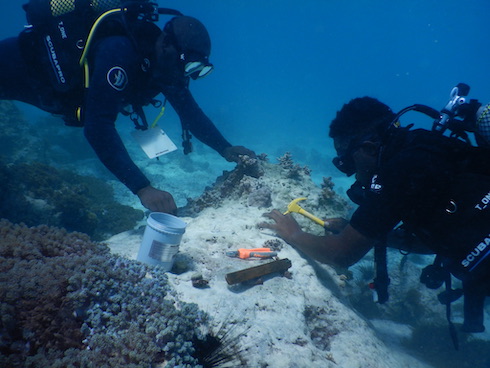 Practical training Practical training