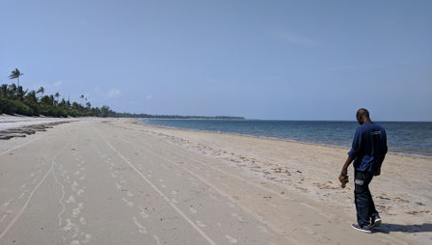 Beachwalk Okala sucht Schwämme