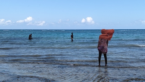 Sponge search Msuka Sponge search Msuka