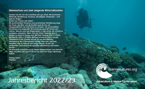 Jahresbericht 2022 downloaden screenshot annual report