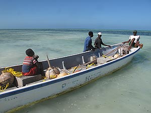 ready for action ready for action