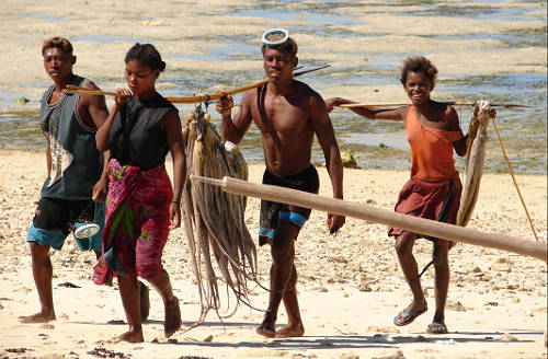 Octopus Fischer mit Fang Octopus Fischer mit Fang