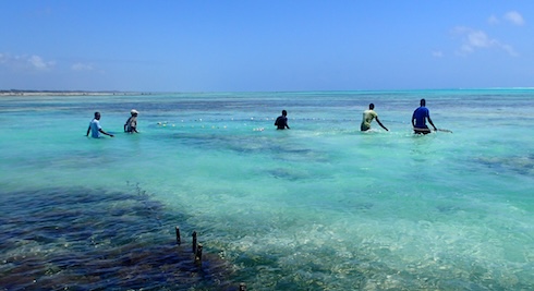 Ringnet fishing Ringnet fishing