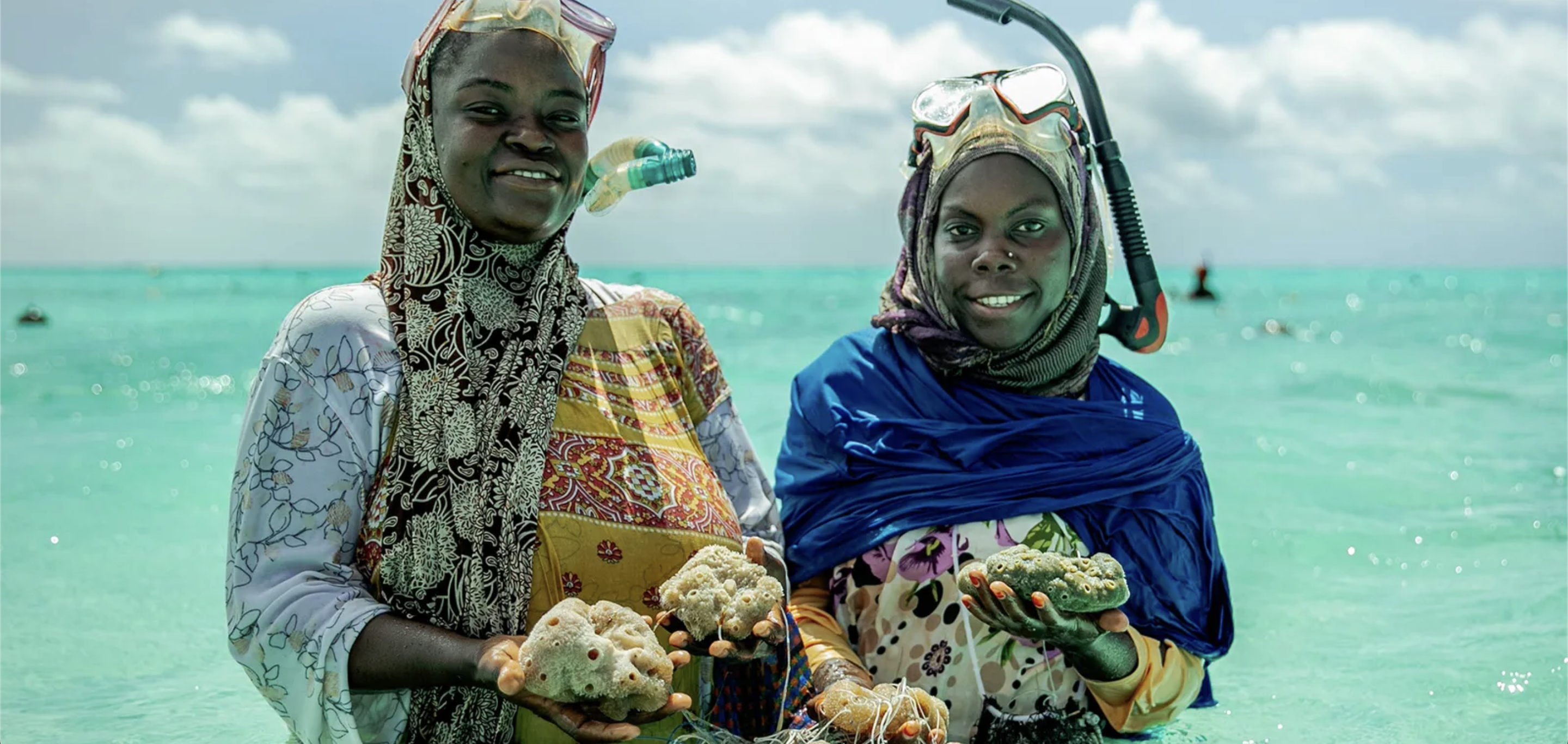 BBC Artikel Zedi und Hindu präsentieren ihre Schwämme