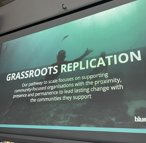 Blue Ventures Approach