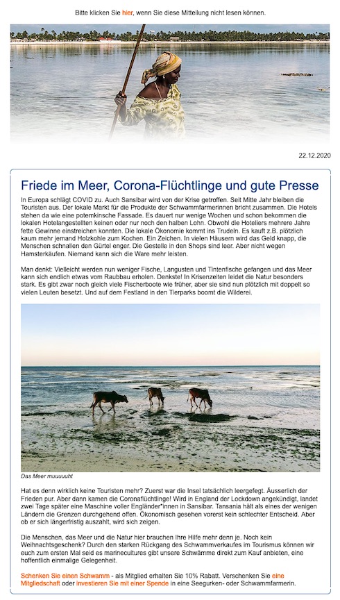 Newsletter 2020-2 Newsletter Screenshot